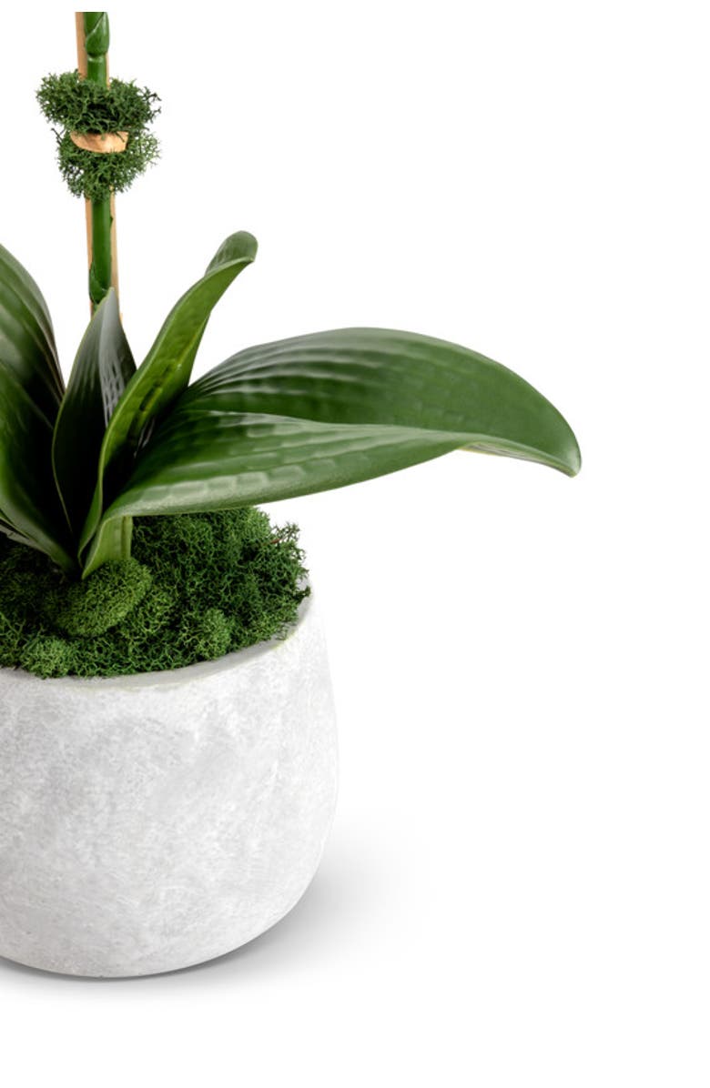 CocoBella Wesley RealTouch Cement Orchid, Alternate, color, White