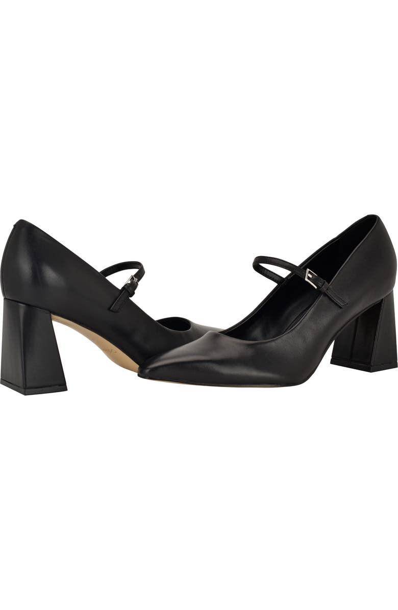 Calvin Klein Naprina Pointed Toe Mary Jane Pump, Alternate, color, Black