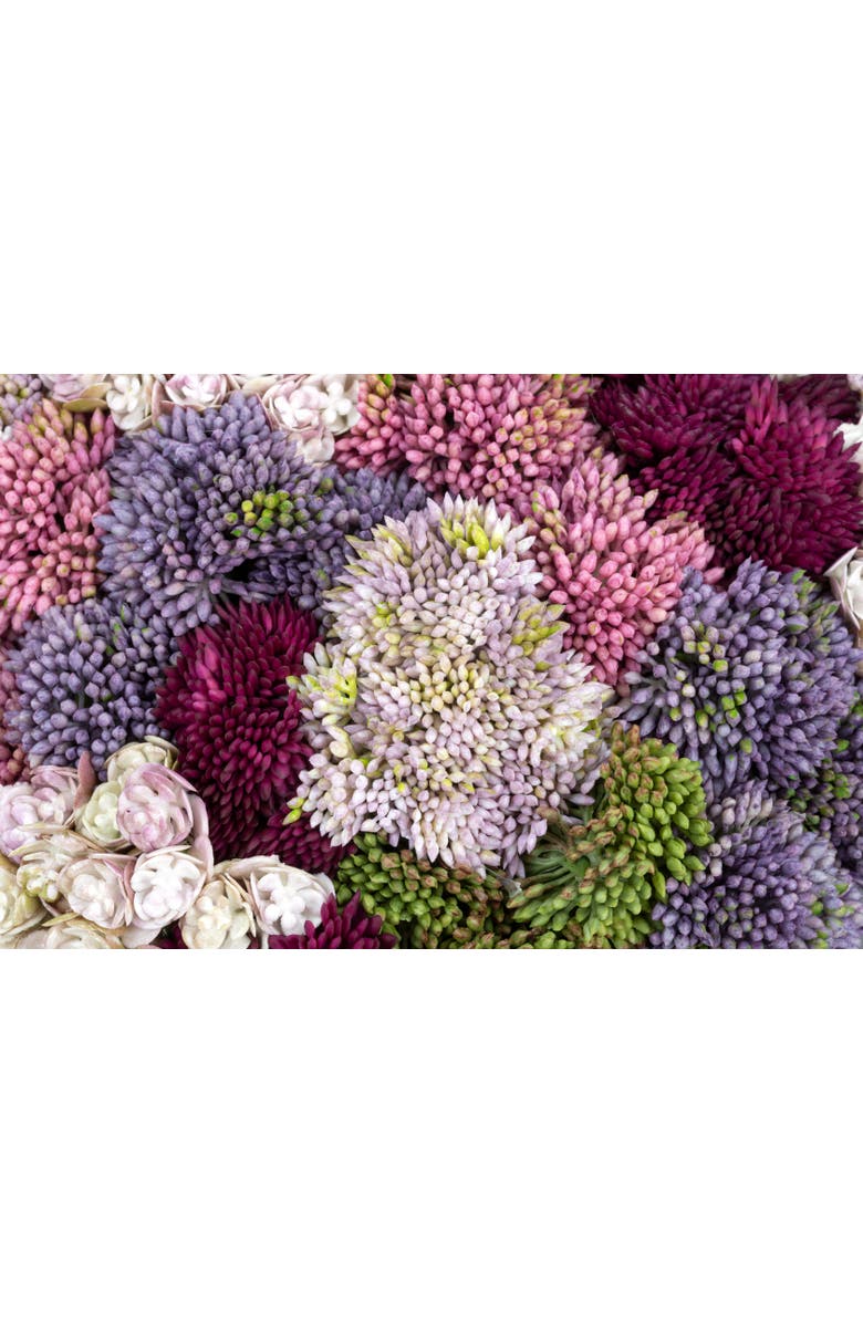 CocoBella Ariane Sedum Arrangement, Alternate, color, Charcoal