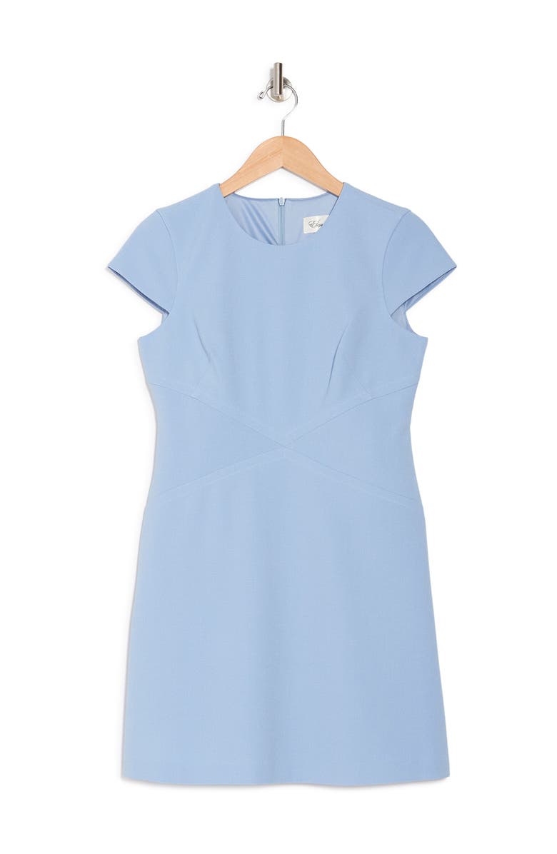 Eliza J Cap Sleeve Mini Dress, Alternate, color,