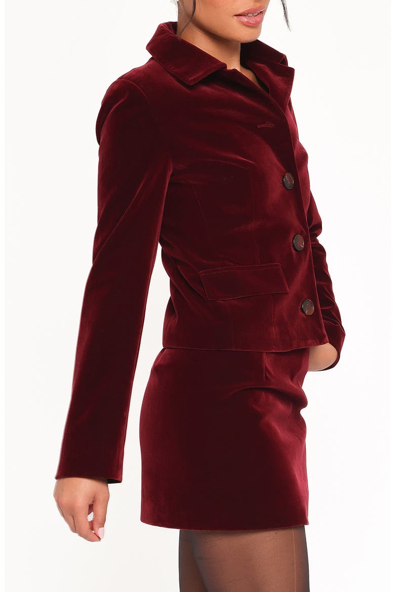Lainey Crop Velvet Jacket, Alternate, color, BURGUNDY