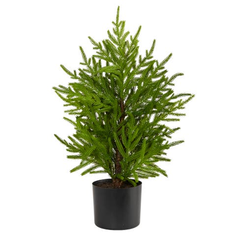 2-ft Norfolk Island Pine Natural Look Artificial Tree in Decorative Planter