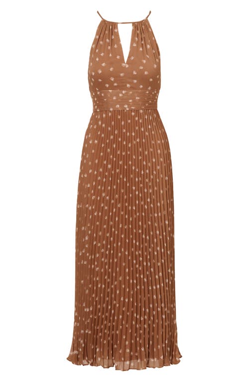 Adrianna Papell Floral Pleat Chiffon Maxi Dress In Mink/ivory