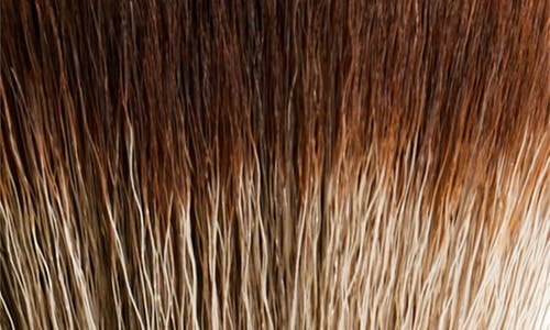 Victoria Beckham Powder Brush In No Color