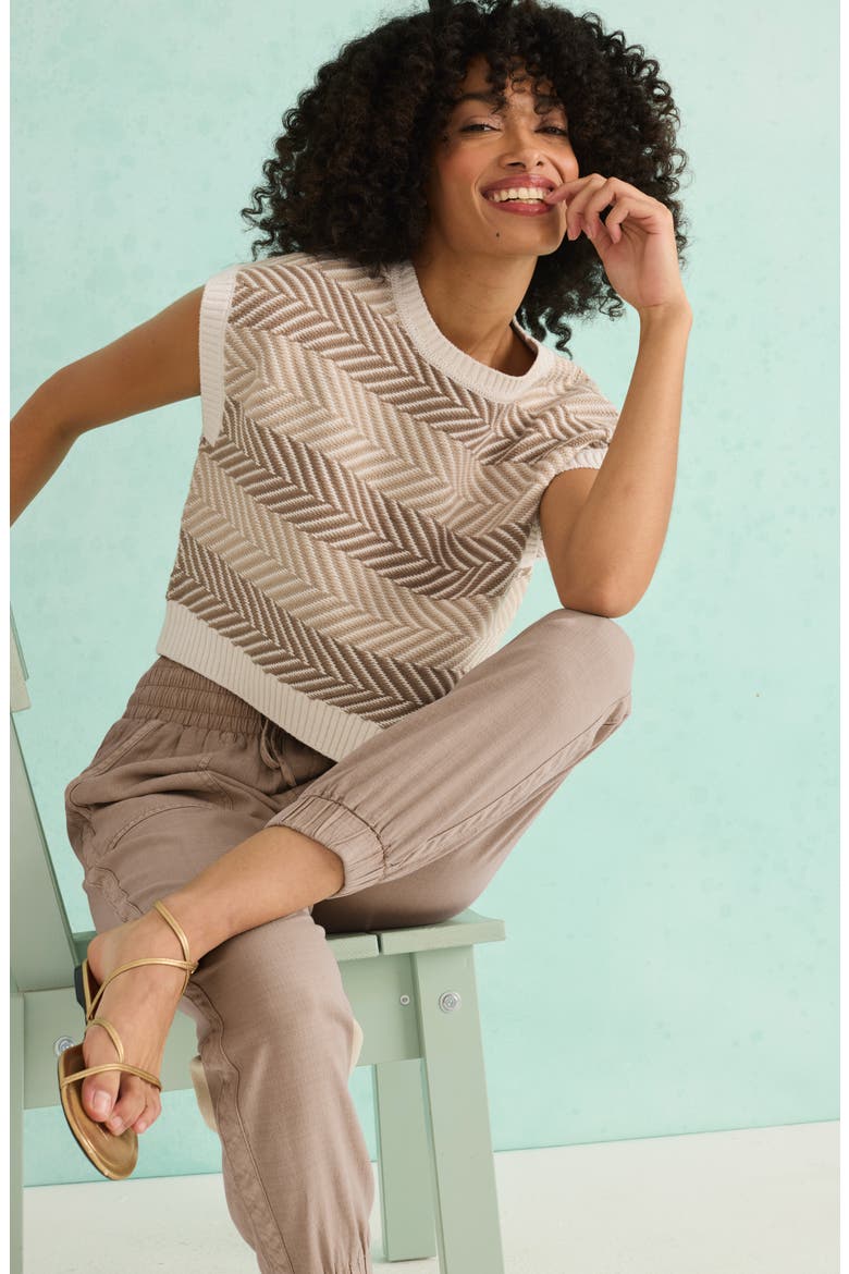 Mary Kate Chevron Stripe Short Sleeve Sweater (Women) | Nordstrom