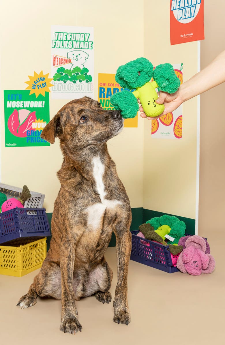 the furryfolks Broccoli Nosework Toy, Alternate, color, Green
