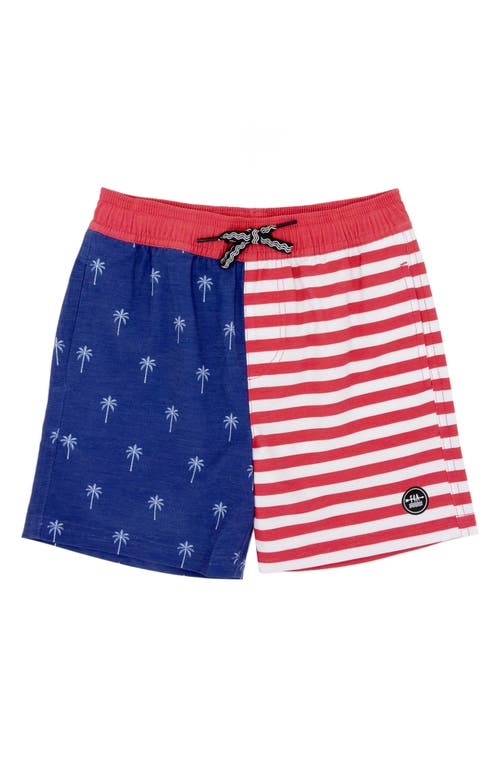 Feather 4 Arrow Kids' Palm Stripe Volley Swim Trunks In Twilight