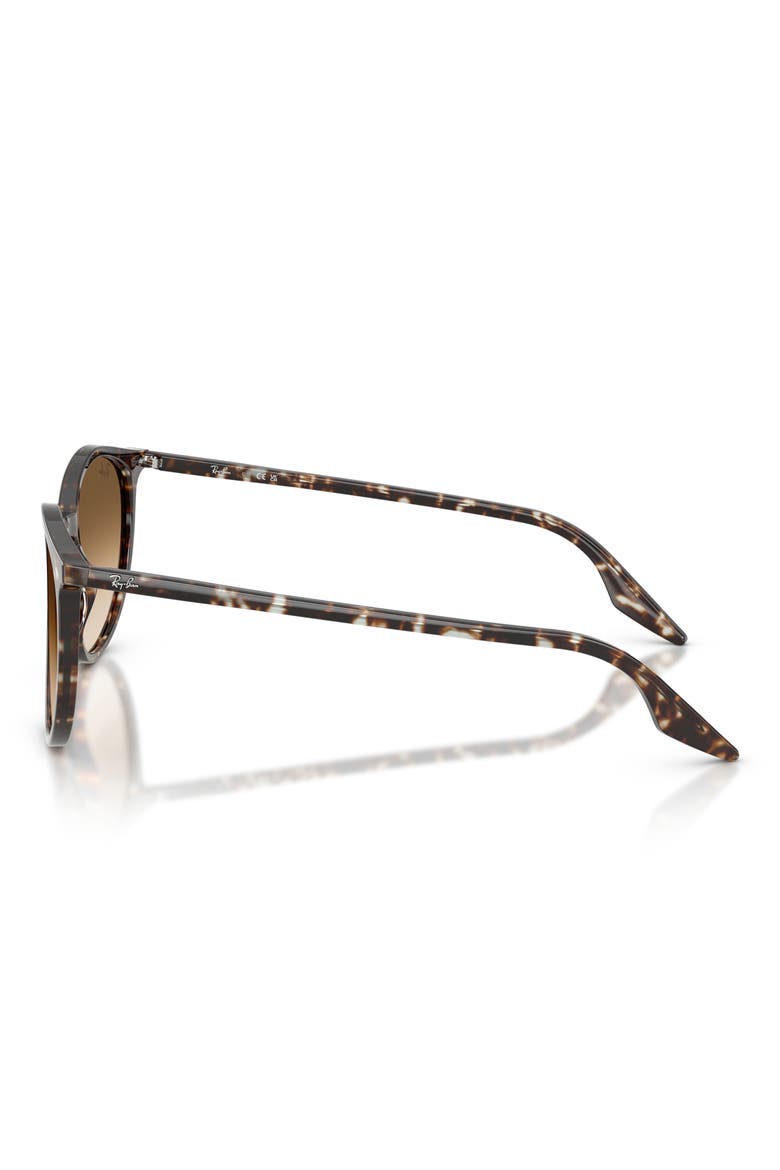 54mm Phantos Sunglasses, Alternate, color, HAVANA YELLOW TURTLE / CLEAR
