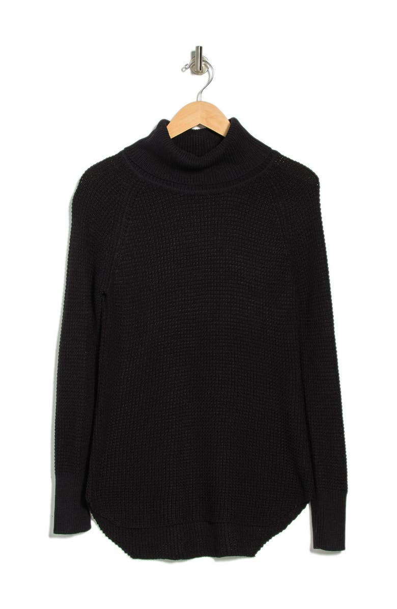 CLOTH BY DESIGN Turtleneck Raglan Sleeve Sweater, Alternate, color,