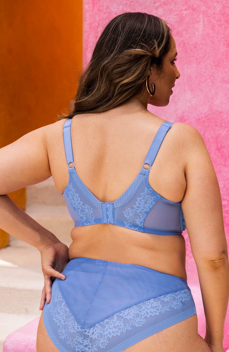 Elomi Nerina High Leg Briefs, Alternate, color, Cornflower