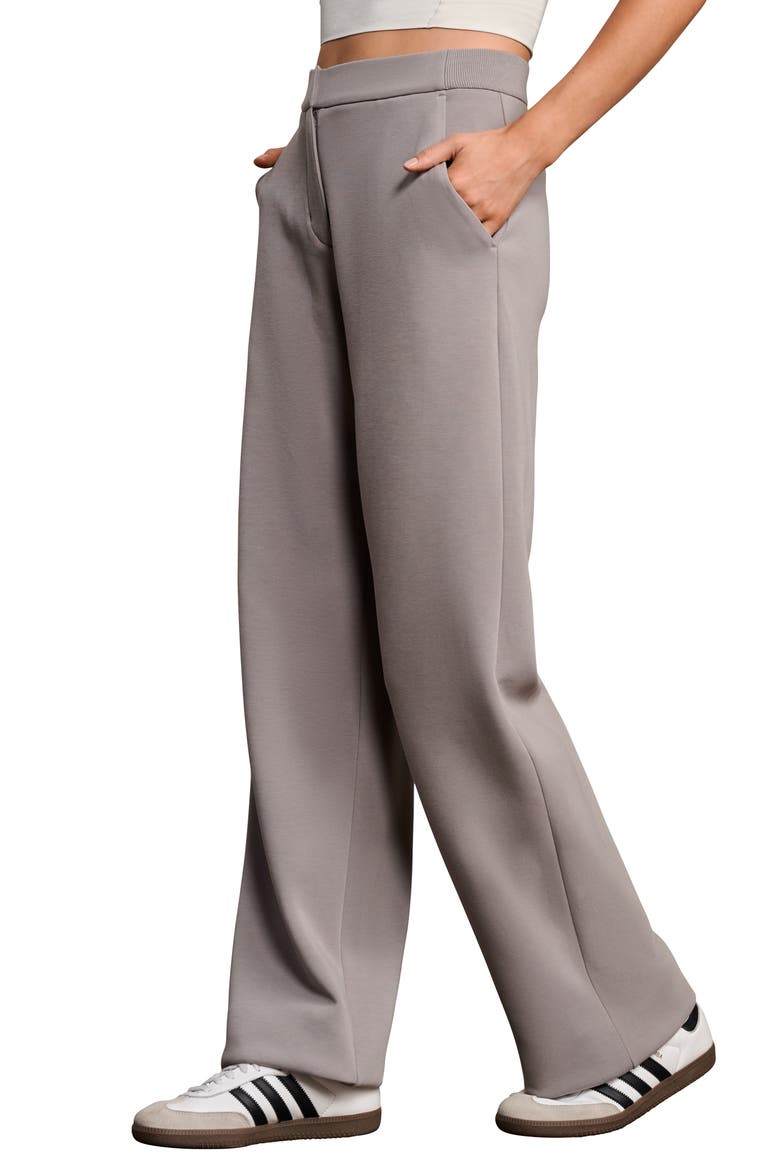 Dreamglow OMW Straight Leg Trousers, Alternate, color, TAUPE MIST