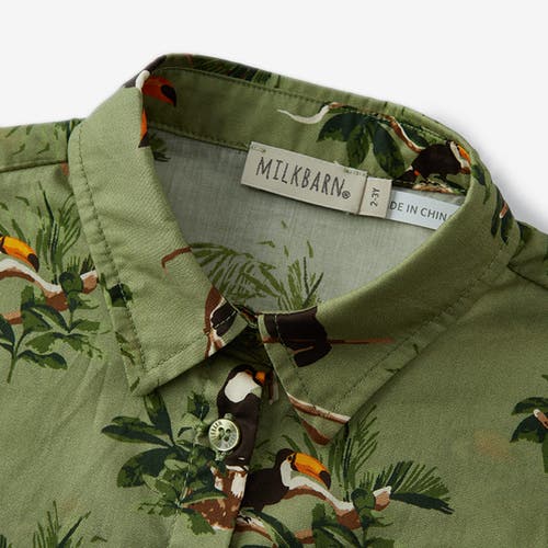 Milkbarn Collar Button-up Shirt And Shorts Set In Green
