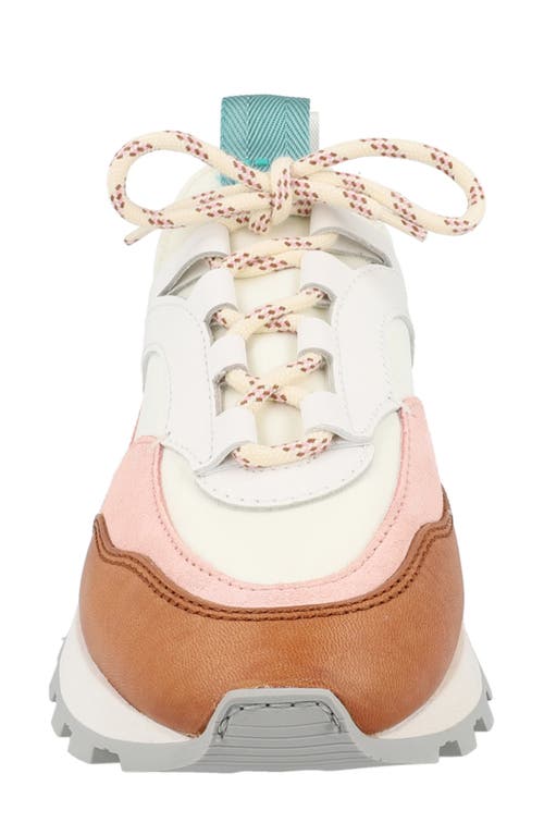 Ferragamo Indy Low-top Sneakers In Multi