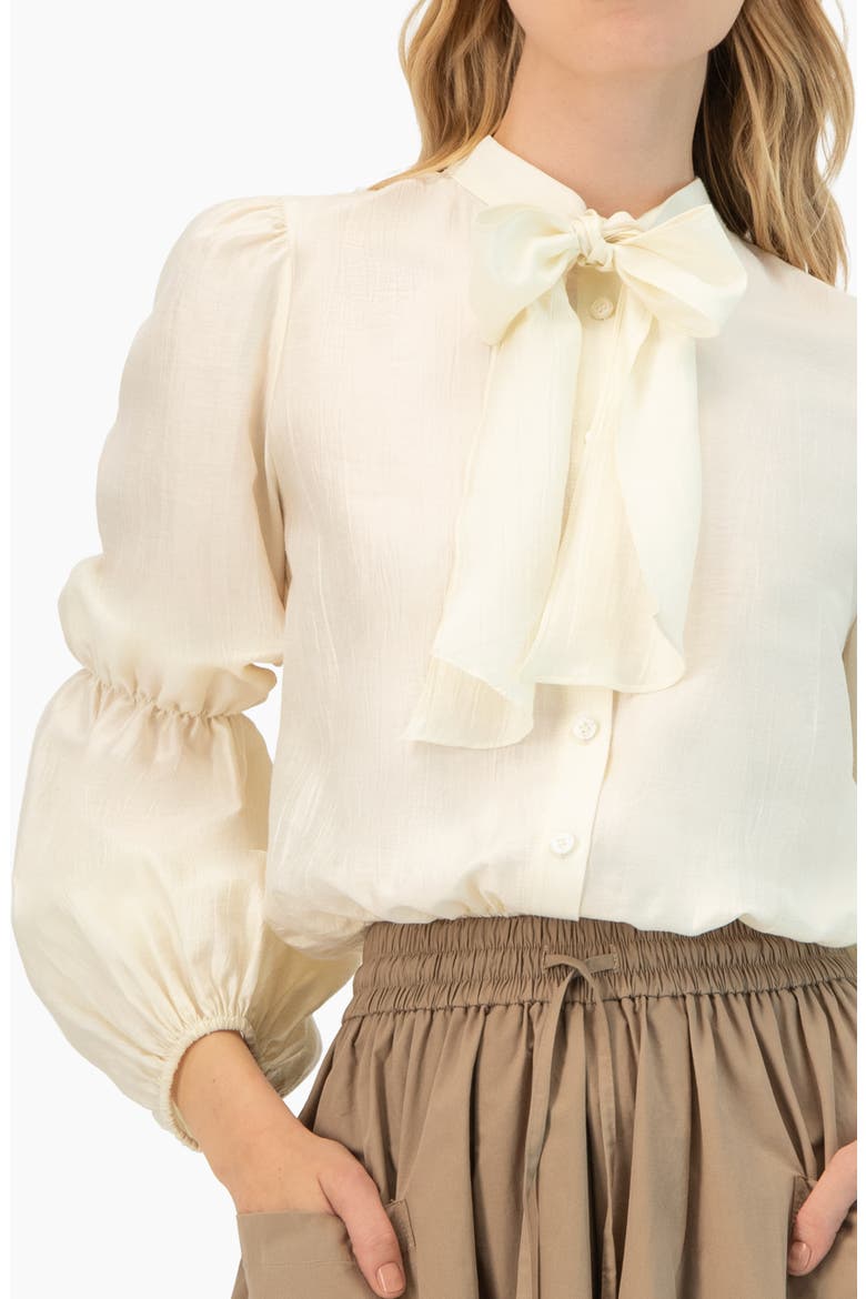 Long Sleeve Blouse with Neck Tie, Alternate, color, Ivory