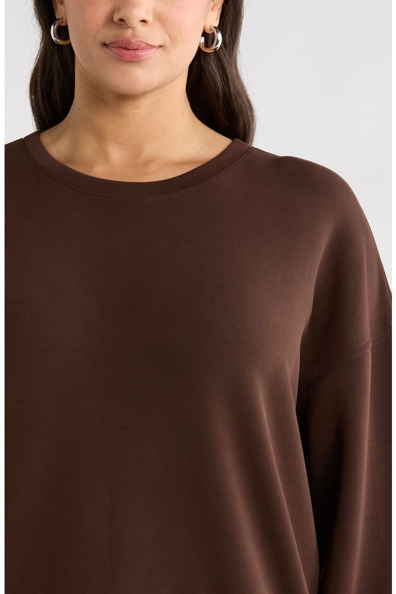 Soft Luxe Boxy Knit Crew Sweatshirt, Alternate, color, BROWN MOLE'