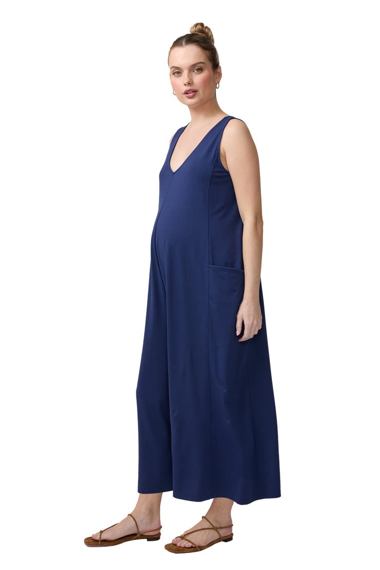 V-Neck Wide Leg Knit Jumpsuit, Alternate, color, Navy