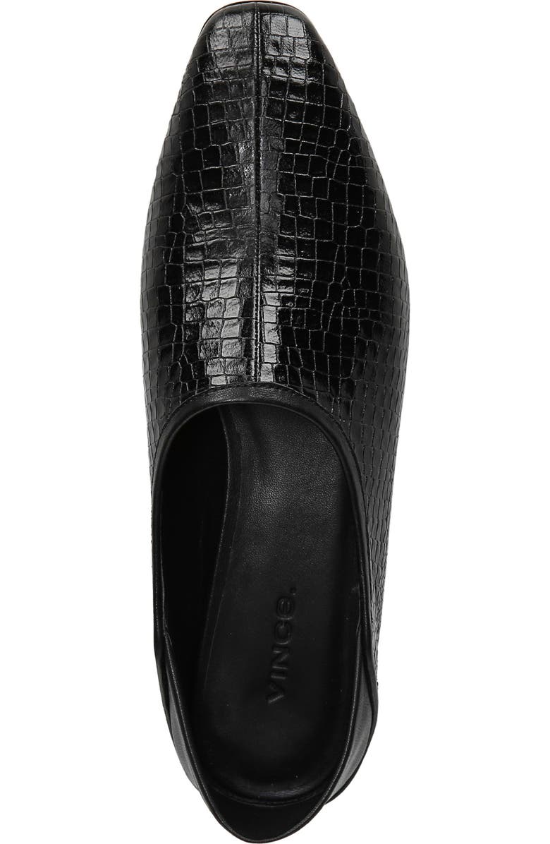 Vince Branine Flat, Alternate, color,