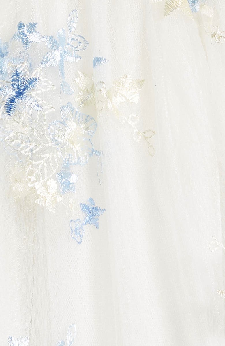 Popatu Floral Embroidered Tulle Dress, Alternate, color,