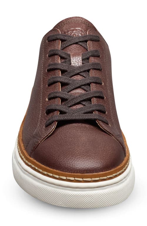 Allen Edmonds Percy Low Top Sneaker In Brown