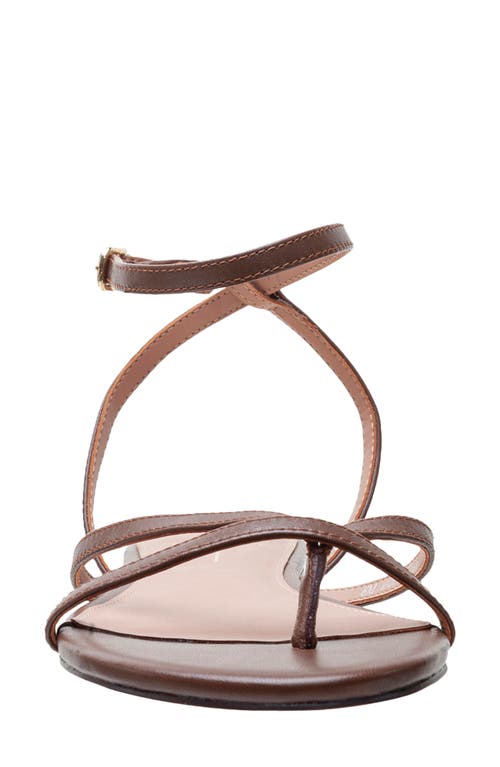 Linea Paolo Luz Ankle Strap Sandal In Chocolate