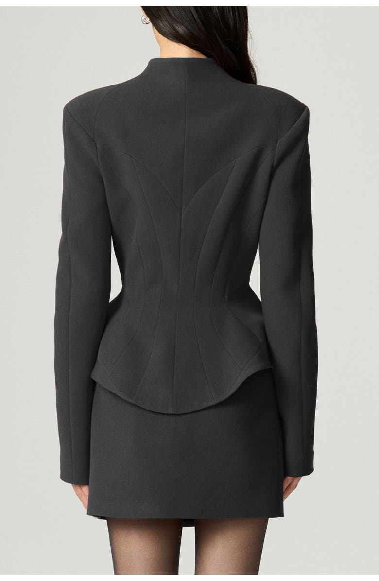 Nocturne Stand Collar Sculpted Jacket, Alternate, color, 