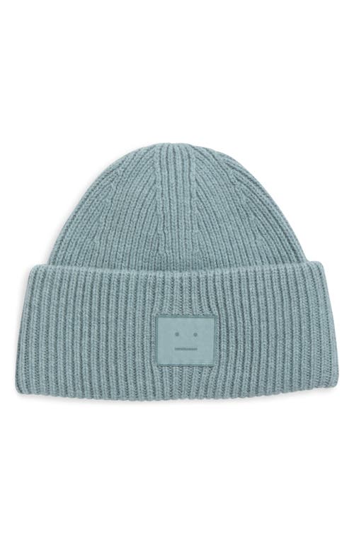 Acne Studios Pana Face Wool & Yak Hair Beanie In Blue