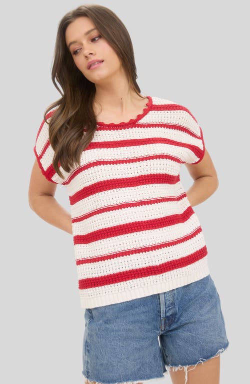 Blu Pepper Striped Open Stitch Sweater In Multi