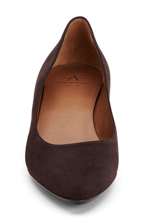 Aquatalia Pasha Pointed Toe Pump In Espresso Suede