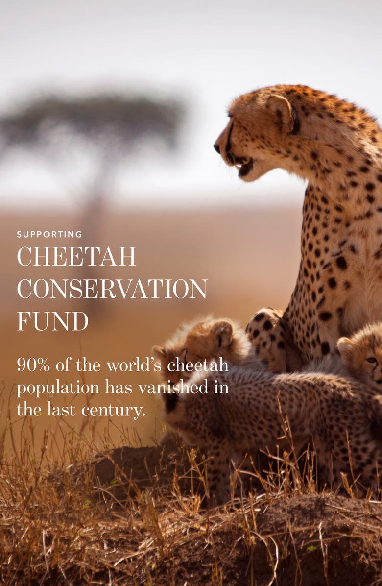 Chantecaille Lip Veil Lipstick, Alternate, color,