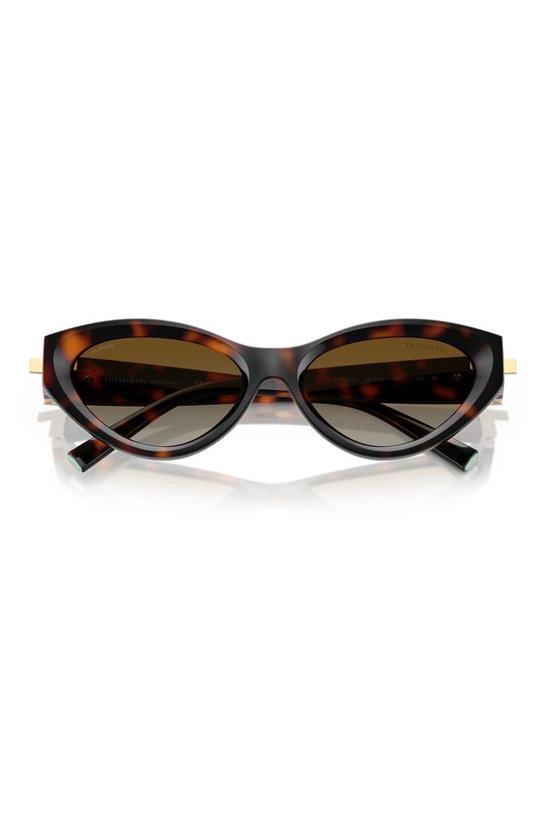 54mm Polarized Gradient Oval Sunglasses, Alternate, color, HAVANA