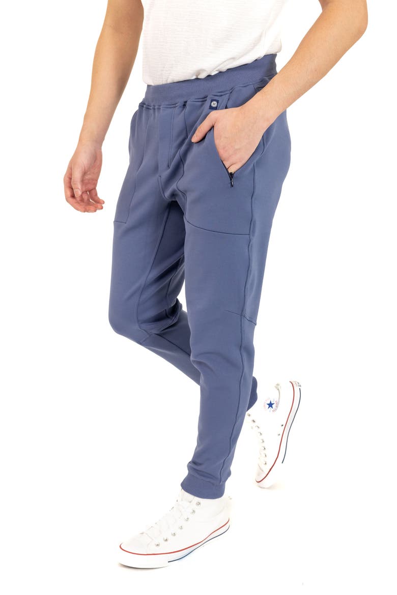 Cotton Blend Joggers, Alternate, color, BLUE