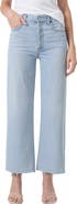 AGOLDE Ren High Waist Wide Leg Jeans