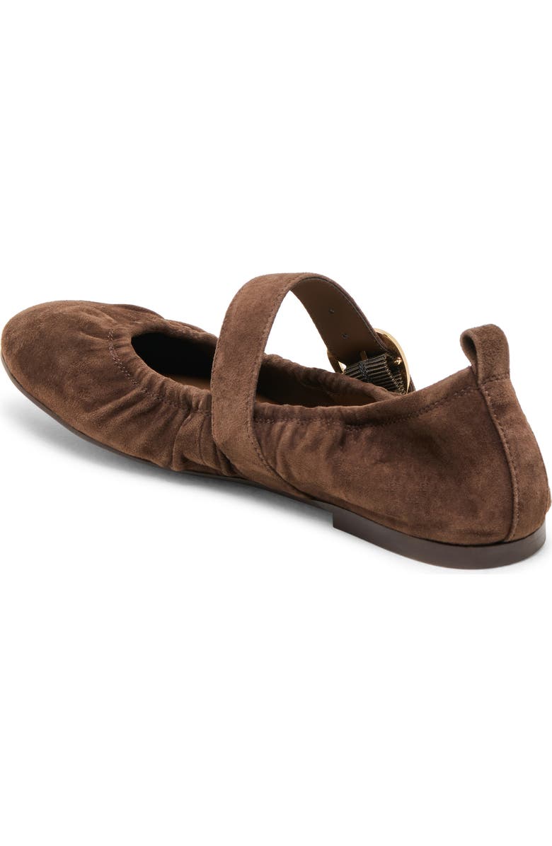 Dolce Vita Caely Mary Jane Flat, Alternate, color, Dk Brown Suede
