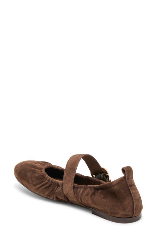 Dolce Vita Caely Mary Jane Flat In Brown