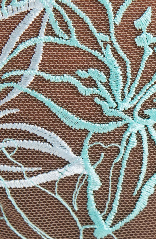 Shop Bluebella Embroidered Bikini Briefs