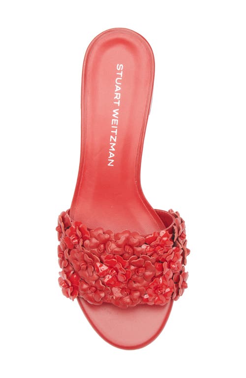Stuart Weitzman Meadow Slide Sandal In Cherry