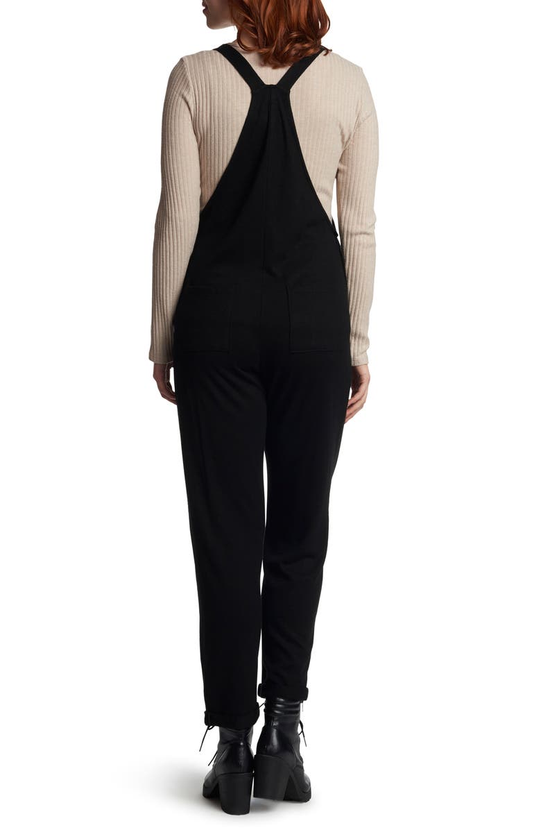 Everly Grey Natalie Maternity/Nursing Knit Overalls, Alternate, color,