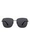 selected Black Tortoise