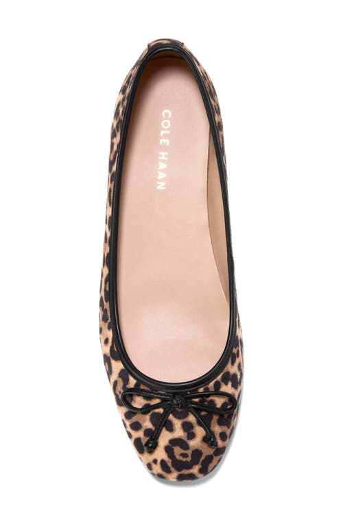 Cole Haan Yara Ballet Flat In Brown
