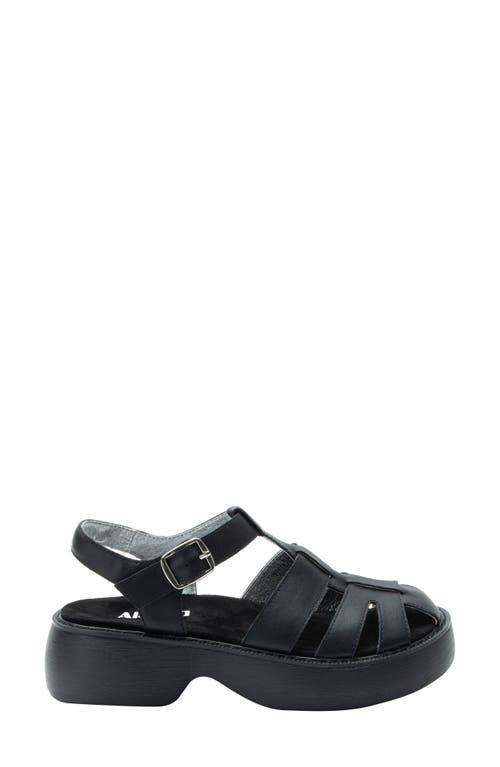 Alegria By Pg Lite Ingrid Ankle Strap Platform Fisherman Sandal In Black