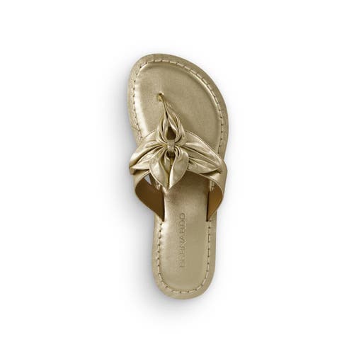 Shop Bernardo Footwear Taormina Thong Sandal In Champagne