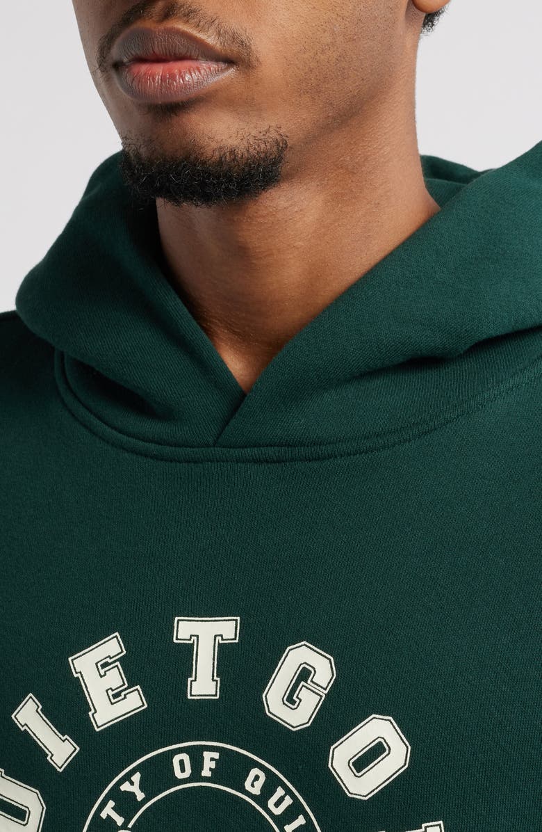 Quiet Golf Property Graphic Hoodie, Alternate, color, Forest