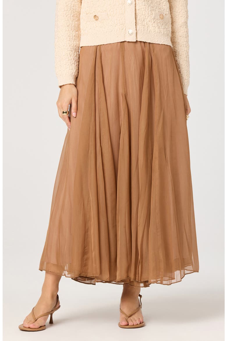 Fiori Maxi Skirt, Alternate, color, WALNUT