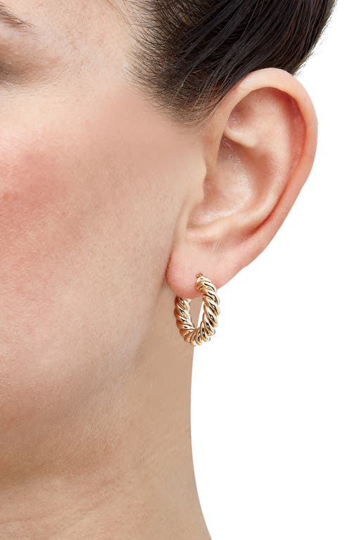 Frankie & Zoe 14k Yellow Gold Twisted Tube Hoop Earrings In Gold