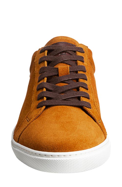 Allen Edmonds Courtside Sneaker In Turmeric