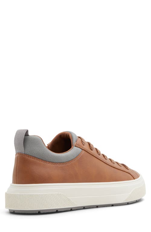 Aldo Bas Sneaker In Brown