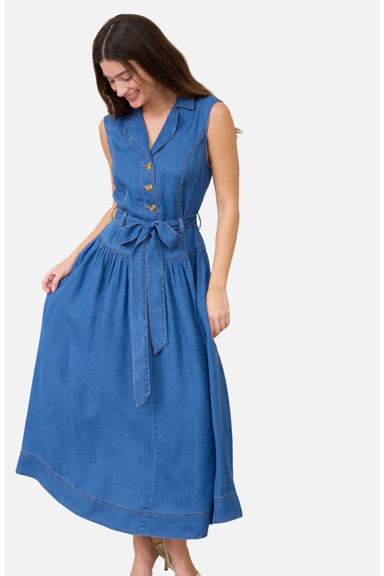 Tie Waist Denim Dress, Alternate, color, DENIM