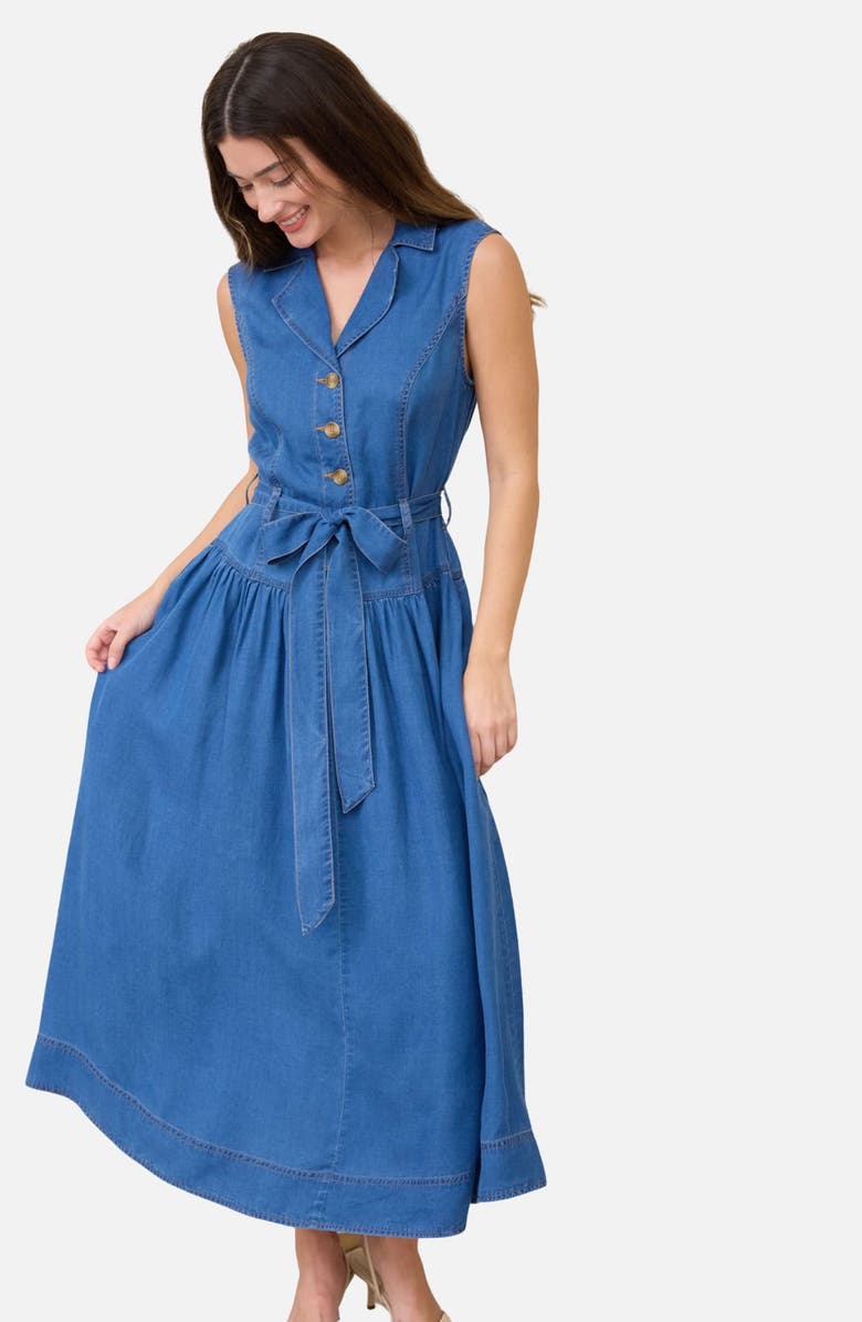 Blu Pepper Tie Waist Denim Dress, Alternate, color, Denim