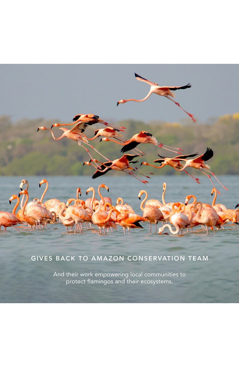 Chantecaille Flamingo Lip Chic Lipstick, Alternate, color, Camu Camu