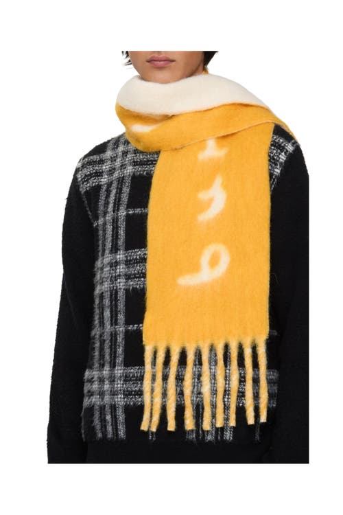Burberry Reversible Logo Alpaca Wool Blend Scarf In Orange